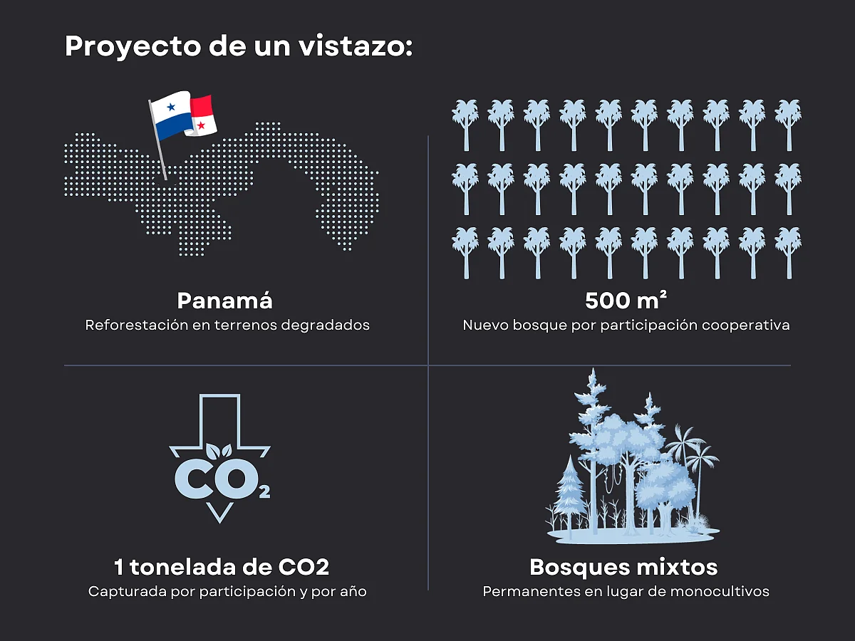 Generation Forest Graphic ES